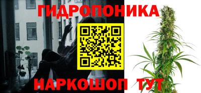 бошки Пушкино
