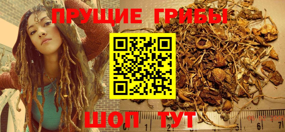 Галлюциногенные грибы MAGIC MUSHROOMS Ярославль