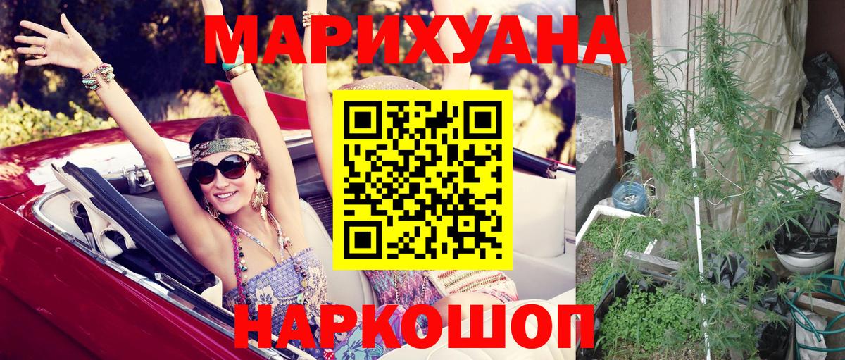 Шишки марихуана Bruce Banner  Вход с VPN  Ярославль  Канабис сатива 